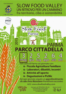 SFV2015_LocandinaMaggioA51