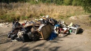 puliamo-il-mondo-2016-23