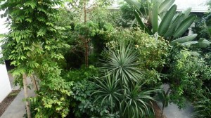 padova-orto-botanico-23-870x490